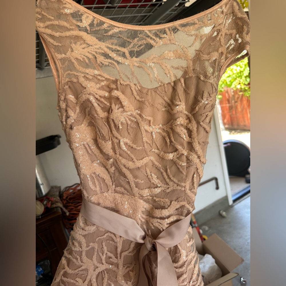 Beige/pinkish sequined dress